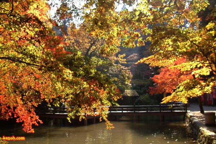 加茂山公園・神池から東屋付近