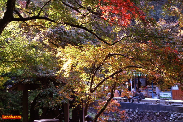 加茂山公園・神池から東屋付近