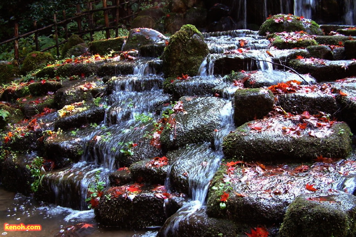 加茂山公園・神池から東屋付近