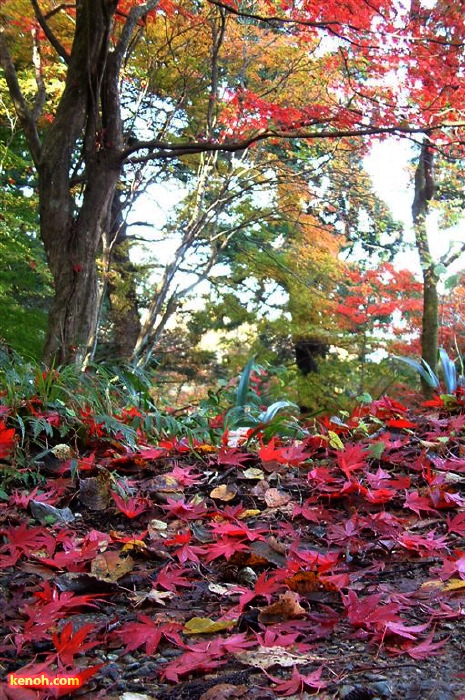 加茂山公園・諏訪神社付近