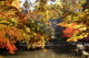 加茂山公園・神池から東屋付近