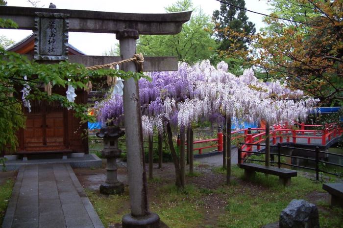 八幡宮