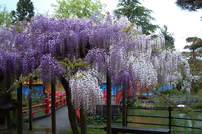 八幡宮