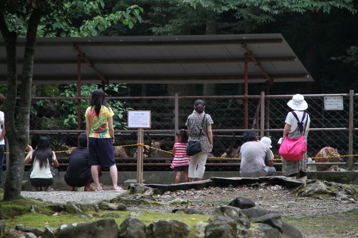 2日目の里神楽