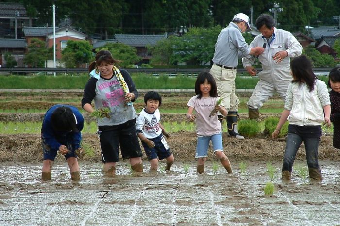 県央研究所「もう一つの小さな田植え