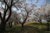 三条市水道局大崎浄水場