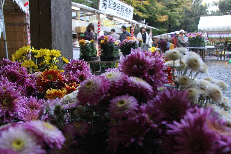 弥彦神社