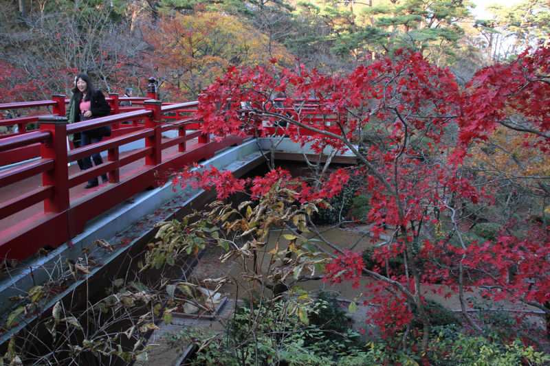 弥彦公園もみじ谷