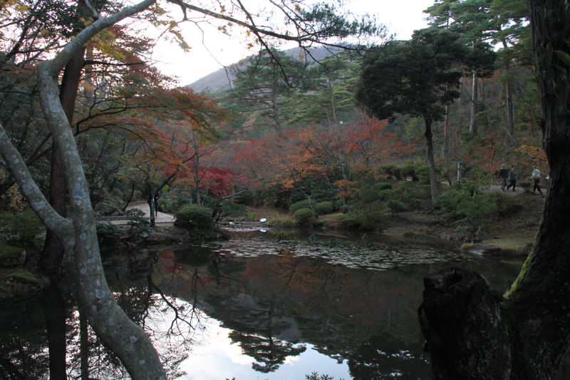 弥彦公園もみじ谷