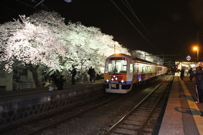 分水駅のサクラは花盛り