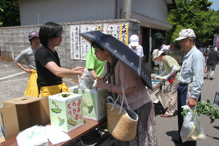 ソラマメつかみどり