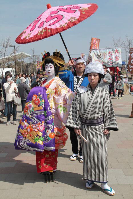 分水さくら公園で撮影用の染井吉野太夫