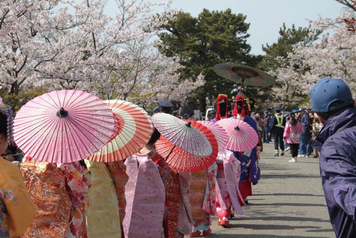 大河津分水桜土手を行く分水おいらん道中