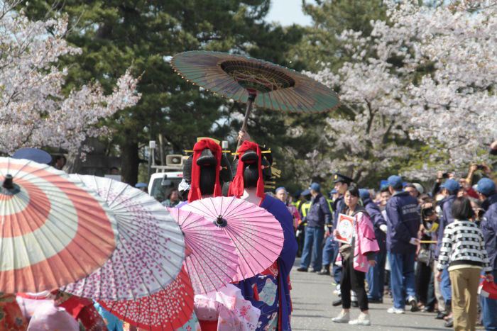 大河津分水桜土手を行く分水おいらん道中