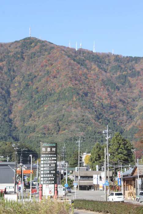 弥彦山も全山紅葉