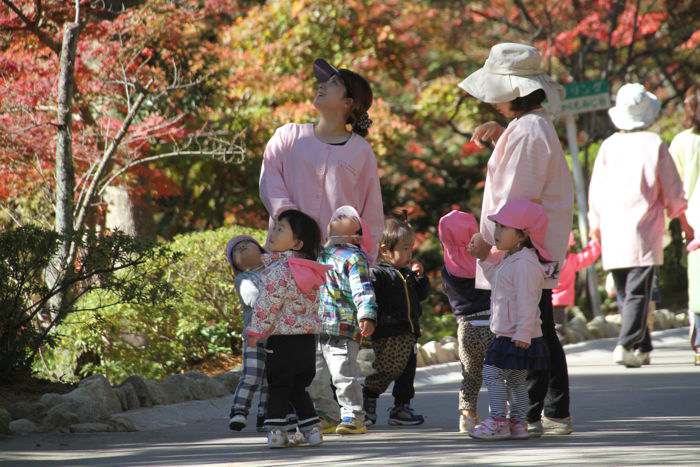 弥彦公園もみじ谷