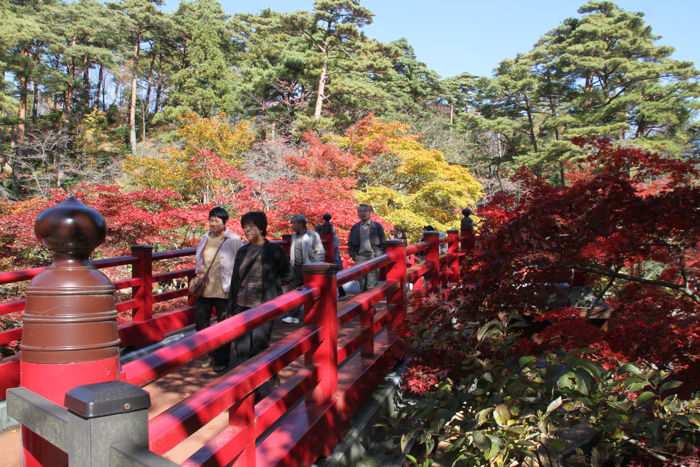 弥彦公園もみじ谷