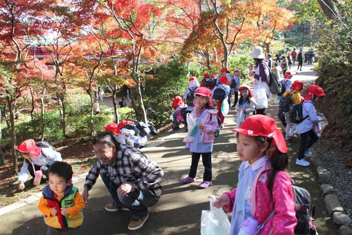 紅葉狩りに訪れた三条白百合幼稚園年長児