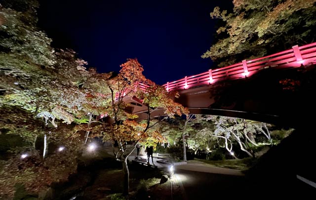 紅葉はこれからでもライトアップされた観月橋周辺の景色が美しい