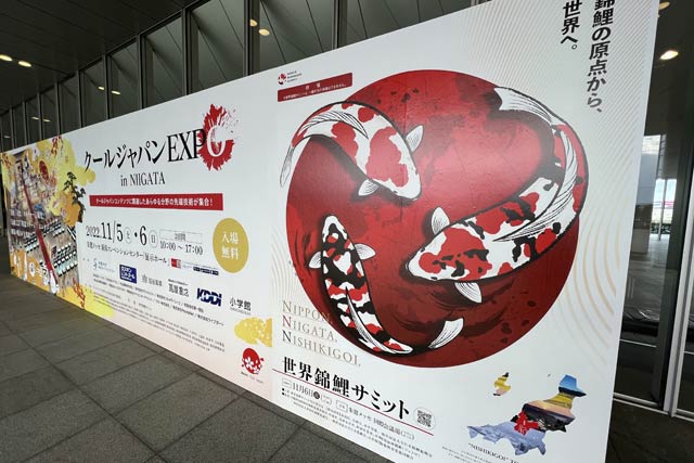 キービジュアルの錦鯉のイラストは加茂市の書家、下田彩水さんがデザインした