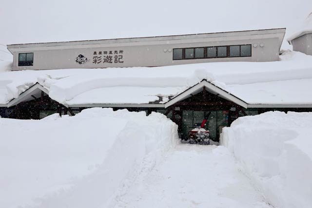 除雪して入り口への通路を確保した道の駅「漢学の里しただ」