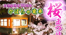 旧月潟駅の桜まつりで夜桜ライトアップとファミリーコンサート