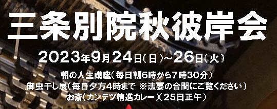 24-26Oʉ@ŏHފ݉E̐lu@25͐iJ[̂