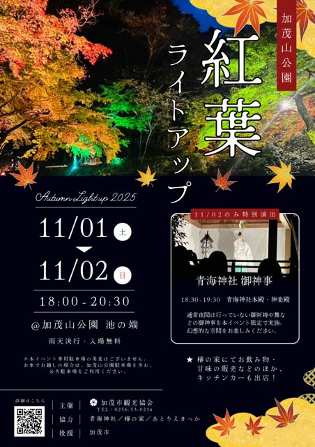 加茂山公園紅葉ライトアップ