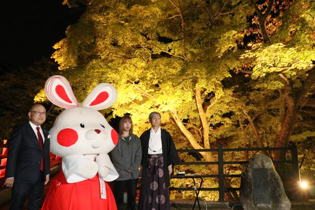 Fe܂ɂ킹ăCgAbvn܂