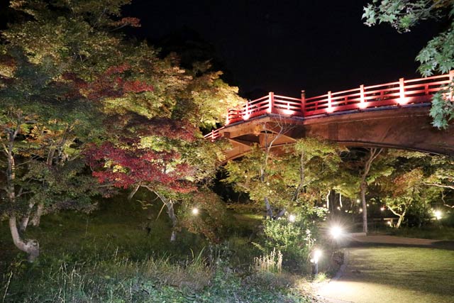 観月橋付近のライトアップ