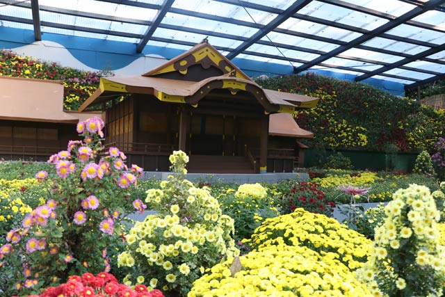 大風景花壇「御遷座110年 彌彦神社」