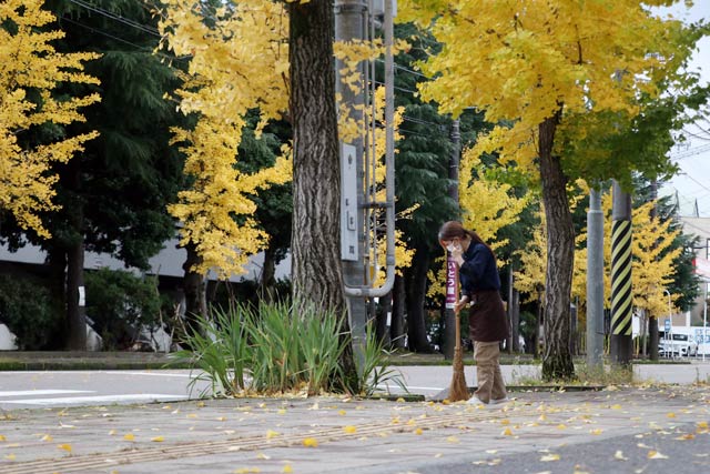 10̎Os͂VCōōC͕N14.9x