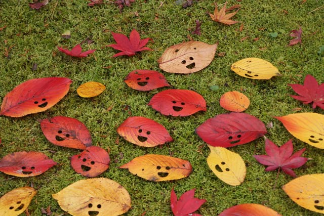 12日の弥彦公演もみじ谷の紅葉