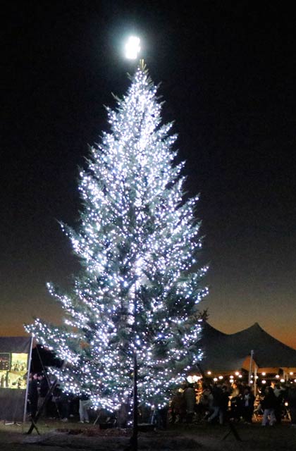 �uSnow Peak HEADQUARTERS�v�ɐݒu���ꂽ�N���X�}�X�c���[�̓_����