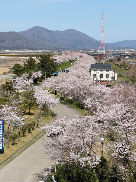 ��͒Õ������y��