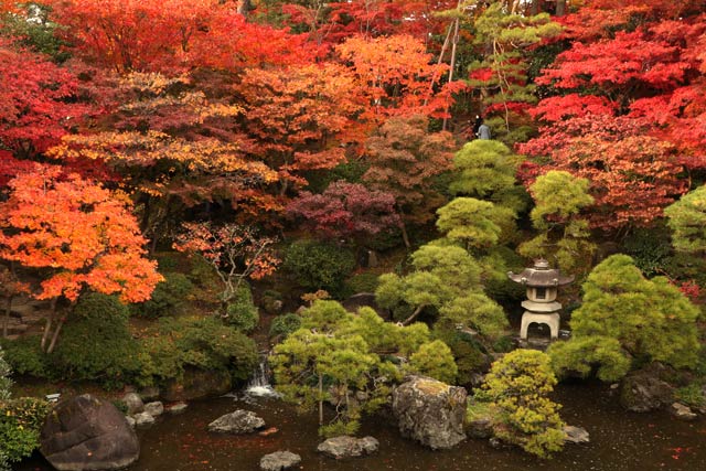 VsEVƕʓ@ōgt͂܂Ȃ[߁@2830܂ōGŌ̃CgAbv