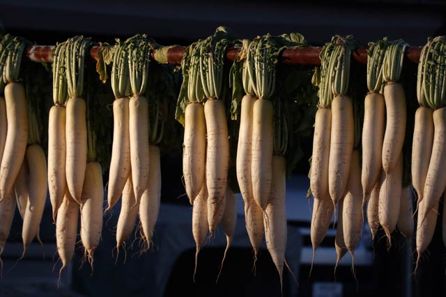 29̎Os͐ĕN݂̍ōC11.5x@3011{݂̒g̗\