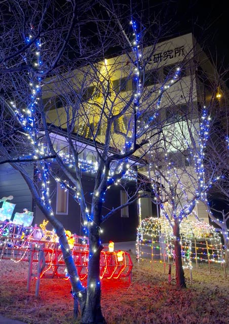 �����������̃C���~�l�[�V����