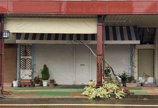 �c�Ƃ��I�������J�l�M�t���[�c