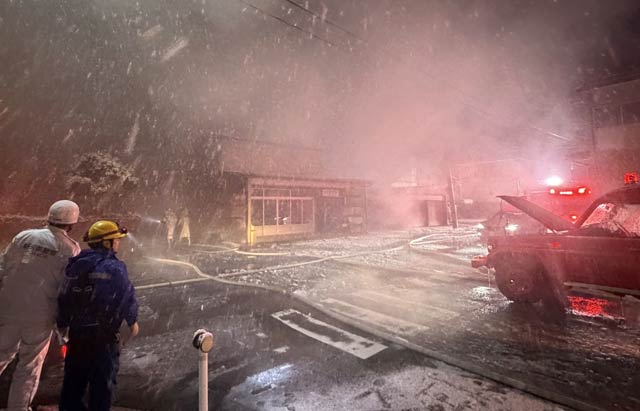 �΍Ќ���ŏ��Ί���