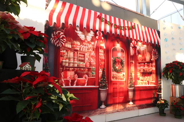 �t�H�g�X�|�b�g