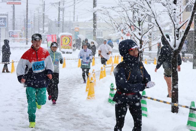 �O���s���U�}���\�����