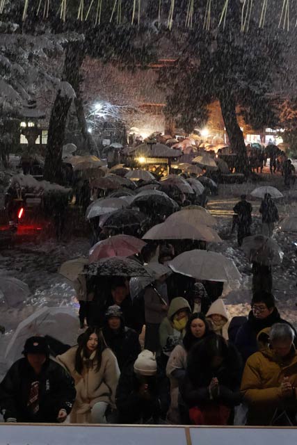 �Q�q�̍s��