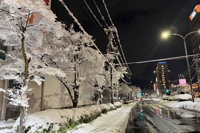 ���G�ŋ��Œ����g��24�����Ⴊ�~�葱��