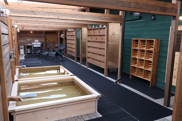 �����C�ƃT�E�i�ł͒������������������