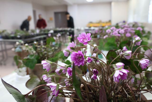 �W�����ꂽ�ኄ��