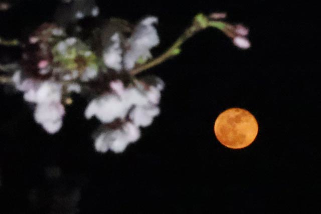 �\�Z��̌����䂭���Ɩ����䂭��