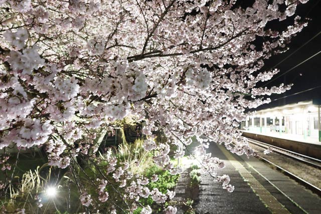 �����w�̍��̃��C�g�A�b�v