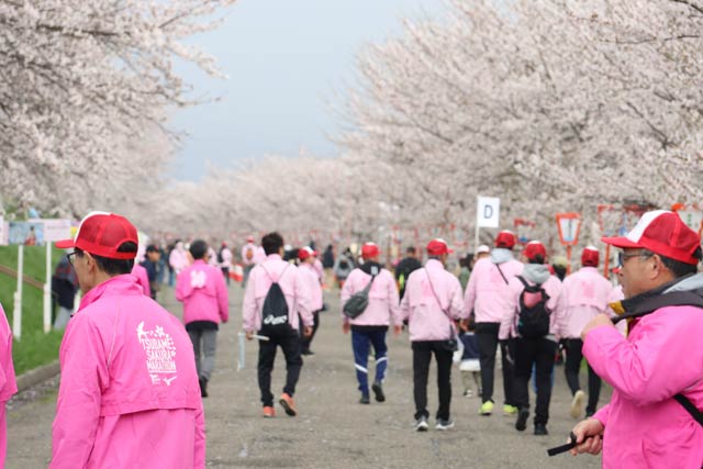 11���ɉ�������}���\�����s��ꂽ������񓹒���������͒Õ��������؂͍����J