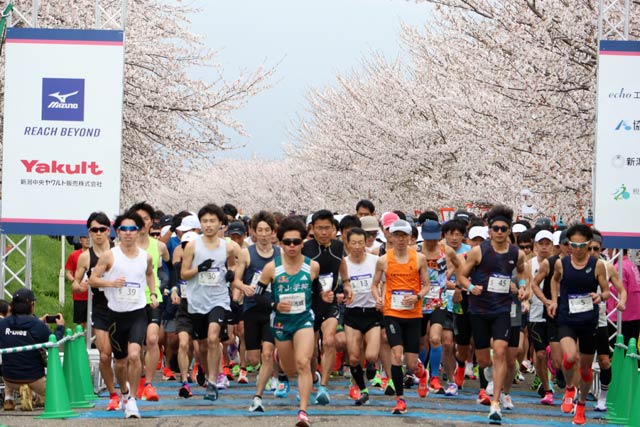 ��������}���\�����